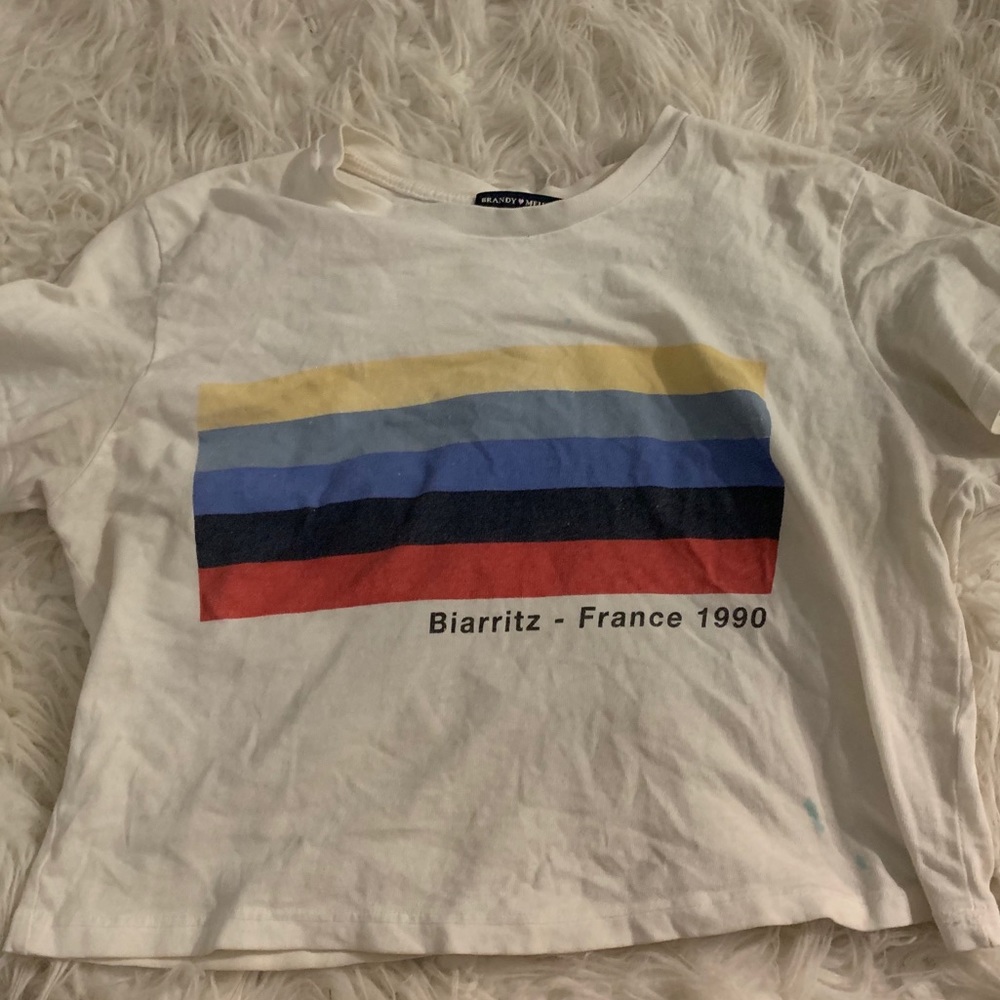 “Biarritz” Brandy Melville Crop Top